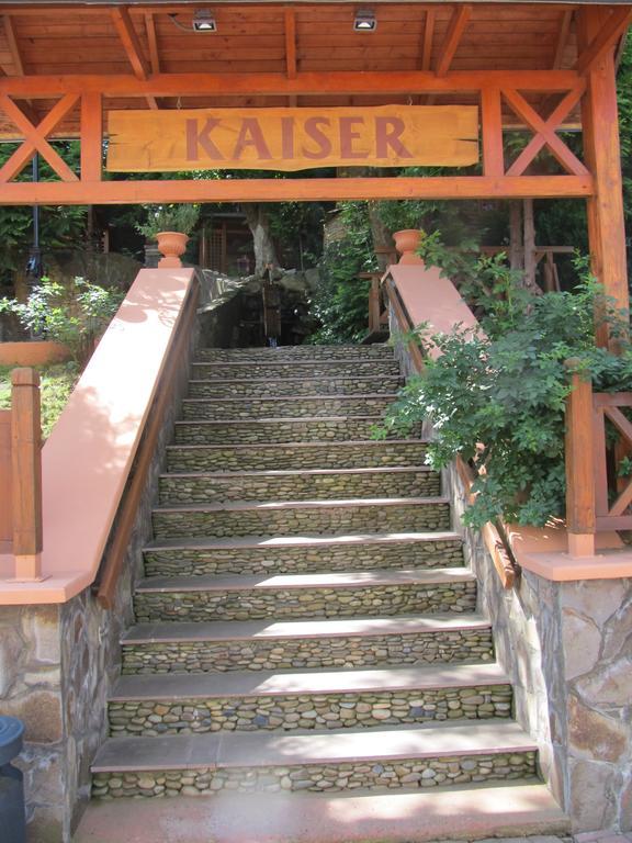 Kaiser Hotel تشيرنيفتسي المظهر الخارجي الصورة